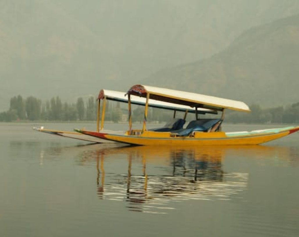 suryaansh-maithani-jVzdGSciXD0-unsplash